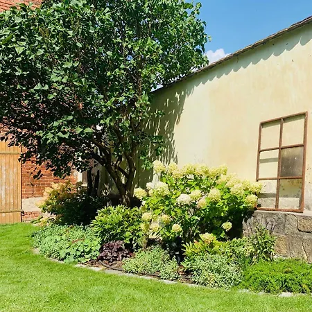 Pensjonat Deichgraf „die Elbpension“